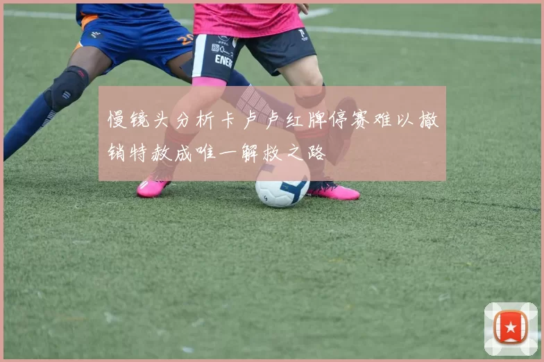 慢镜头分析卡卢卢红牌停赛难以撤销特赦成唯一解救之路